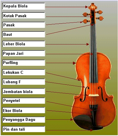 Detail Gambar Alat Musik Violin Nomer 18