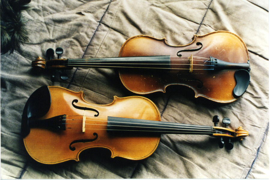 Detail Gambar Alat Musik Violin Nomer 28