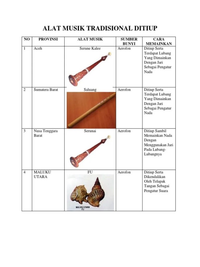 Detail Gambar Alat Musik Yang Ditiup Nomer 7