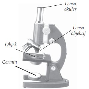 Detail Gambar Alat Optik Nomer 33