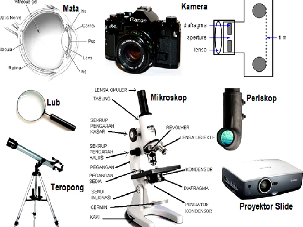 Detail Gambar Alat Optik Nomer 7