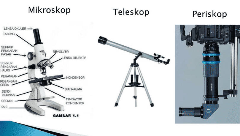 Detail Gambar Alat Optik Mikroskop Nomer 13