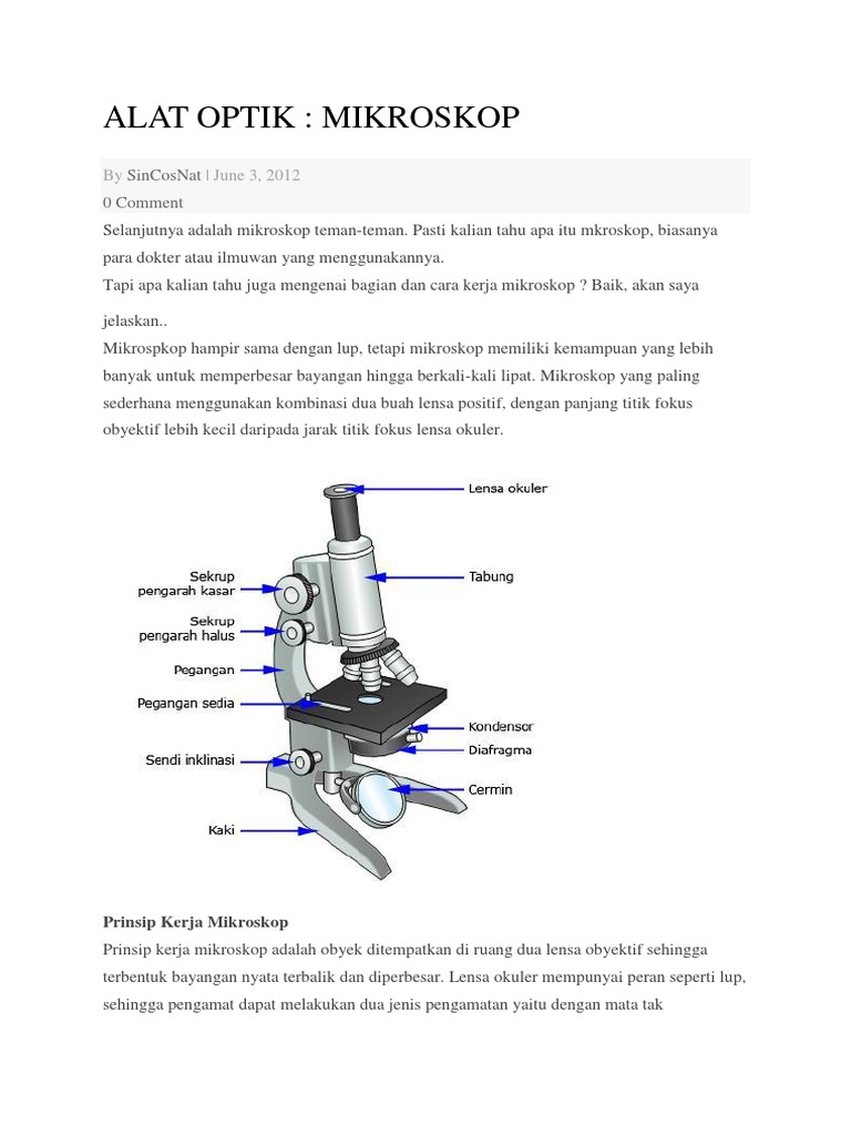 Detail Gambar Alat Optik Mikroskop Nomer 22