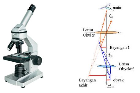 Detail Gambar Alat Optik Mikroskop Nomer 23