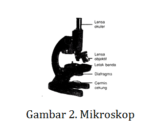 Detail Gambar Alat Optik Mikroskop Nomer 27