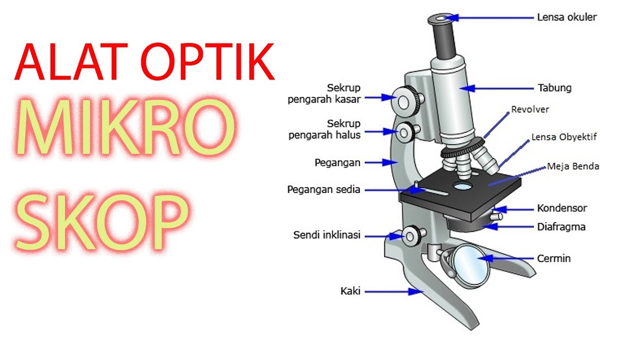 Detail Gambar Alat Optik Mikroskop Nomer 5