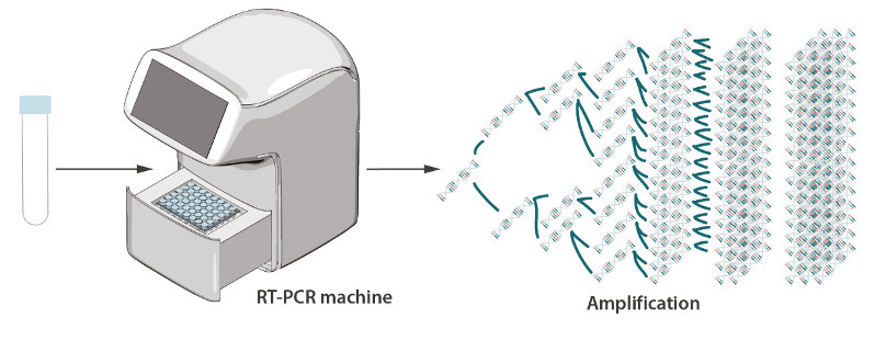 Detail Gambar Alat Pcr Nomer 9