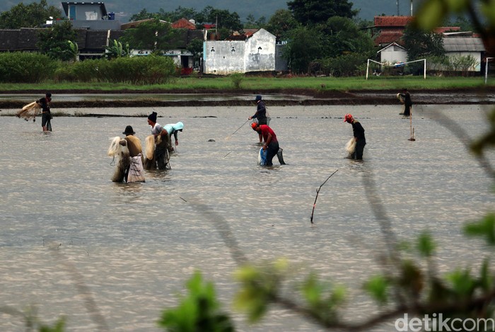 Detail Gambar Alat Penjala Ikan Nomer 19