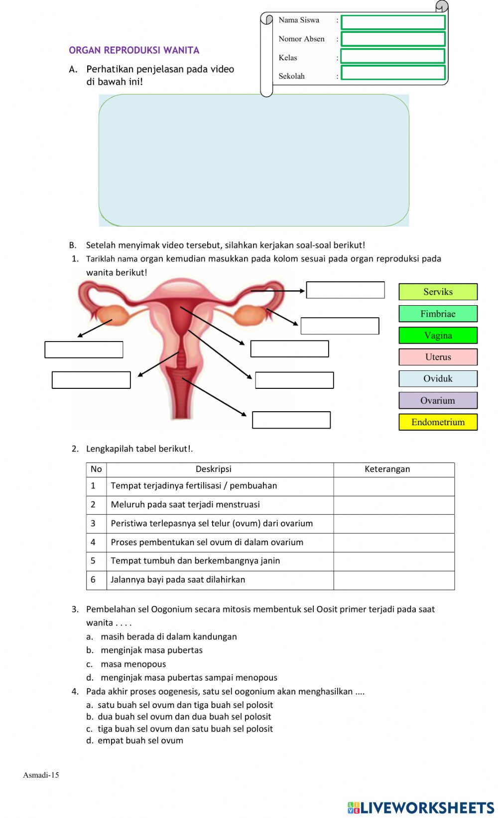 Detail Gambar Alat Reproduksi Pada Wanita Nomer 28