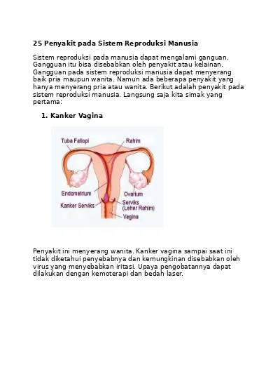 Detail Gambar Alat Reproduksi Pada Wanita Nomer 35