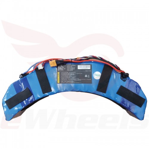 Inmotion V3 Battery - KibrisPDR