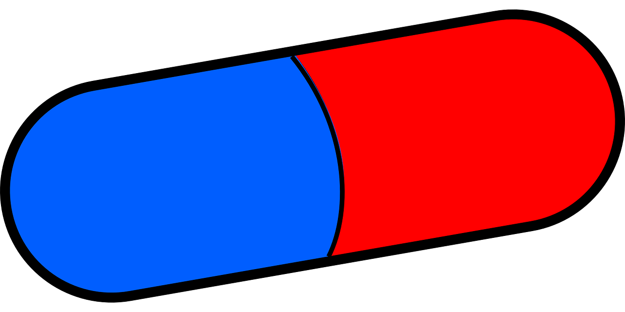 Detail Blaue Pille Rote Pille Matrix Nomer 13
