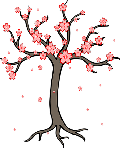 Detail Chinesischer Kirschbaum Nomer 6