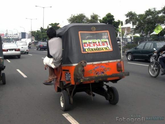 Detail Gambar Alat Transportasi Darat Mobil Arah Belakang Nomer 19