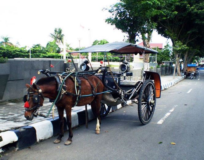 Detail Gambar Alat Transportasi Tradisional Nomer 27