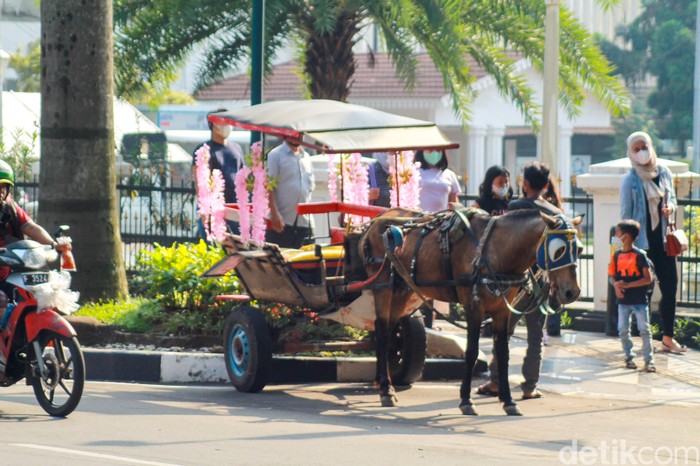 Detail Gambar Alat Transportasi Tradisional Nomer 49