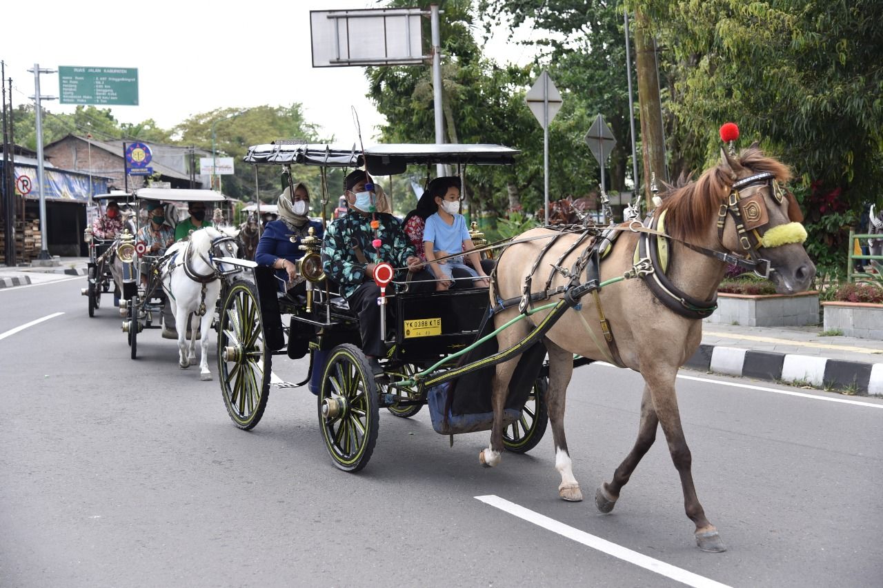 Detail Gambar Alat Transportasi Tradisional Nomer 52