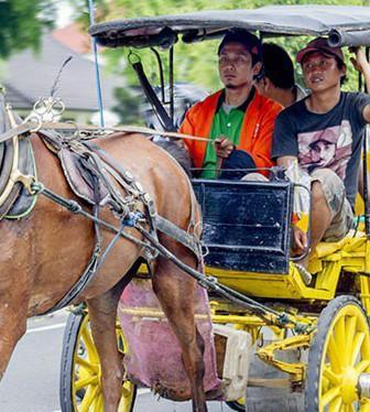 Detail Gambar Alat Transportasi Tradisional Nomer 53