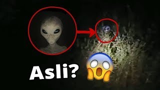 Detail Gambar Alien Asli Nomer 10