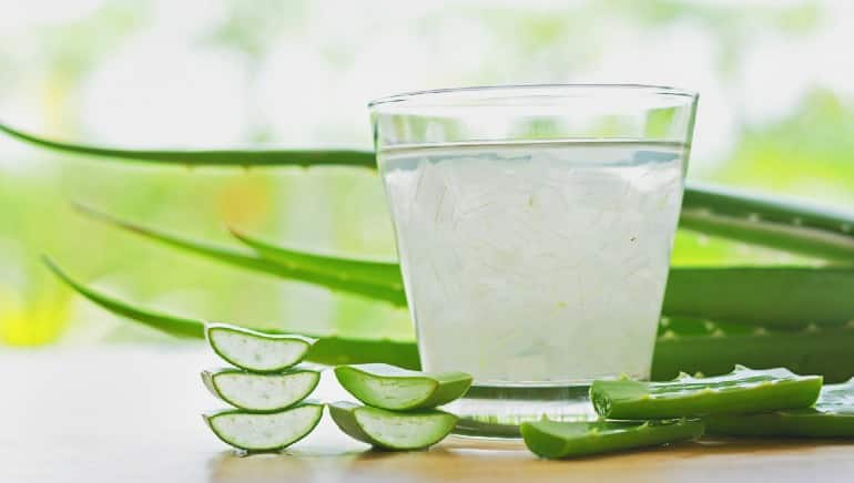 Detail Gambar Aloe Vera Nomer 53