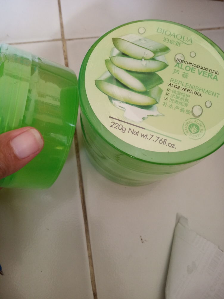 Detail Gambar Aloe Vera Asli Dan Palsu Nomer 55