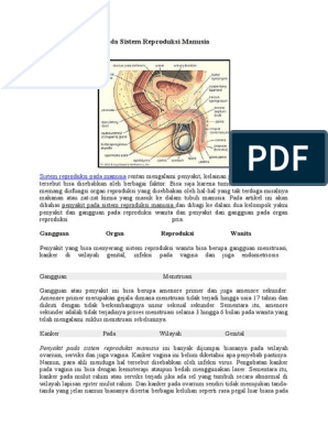 Detail Gambar Amenore Primer Gambar Penyakit Kriptorkidisme Nomer 21