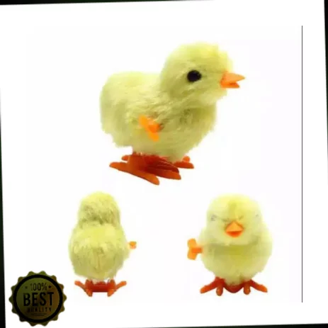 Detail Gambar Anak Ayam Lucu Nomer 54