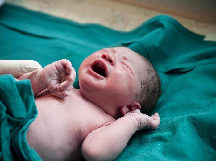 Detail Gambar Anak Bayi Baru Lahir Nomer 26
