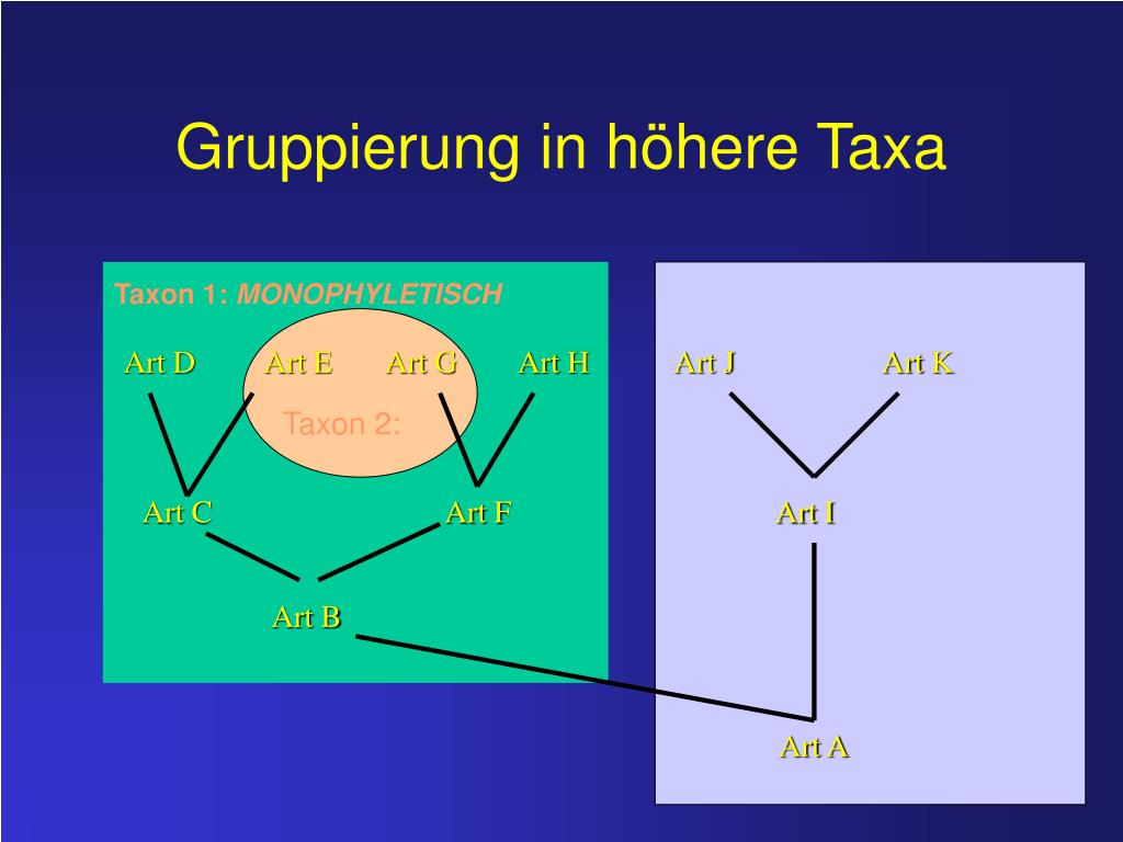 Detail Stammbaum Powerpoint Vorlage Nomer 18