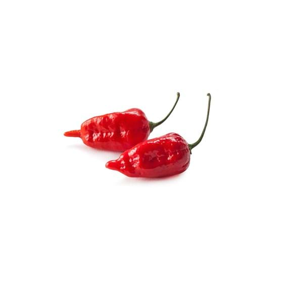 Detail Carolina Reaper Nederland Nomer 6