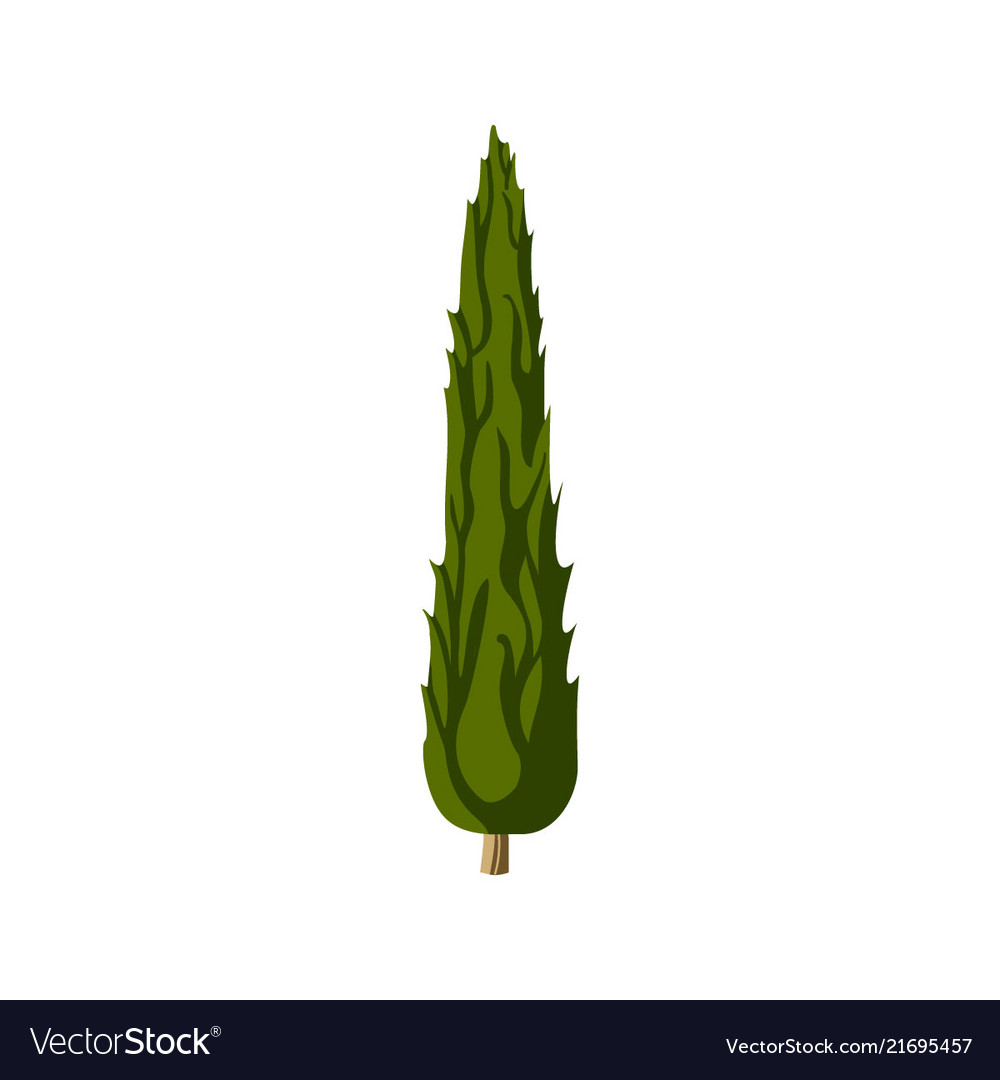 Cypress Vector - KibrisPDR