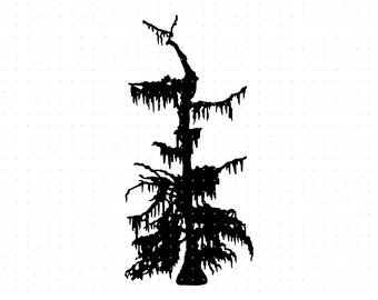 Detail Cypress Vector Nomer 9