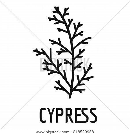 Detail Cypress Vector Nomer 24