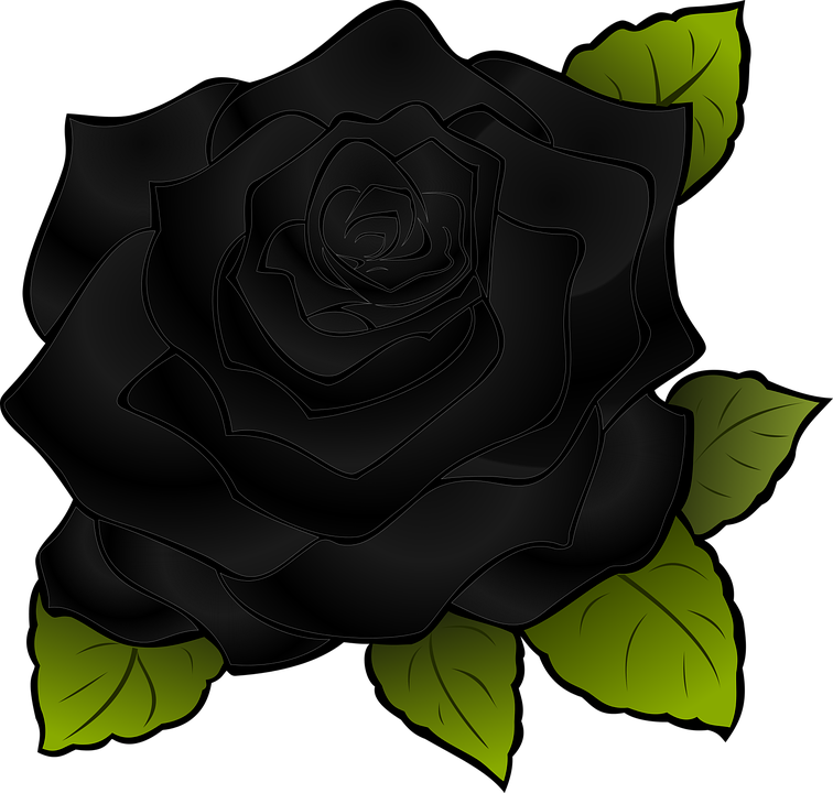 Detail Dark Rose Background Nomer 11