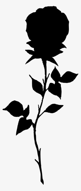 Detail Dark Rose Background Nomer 17