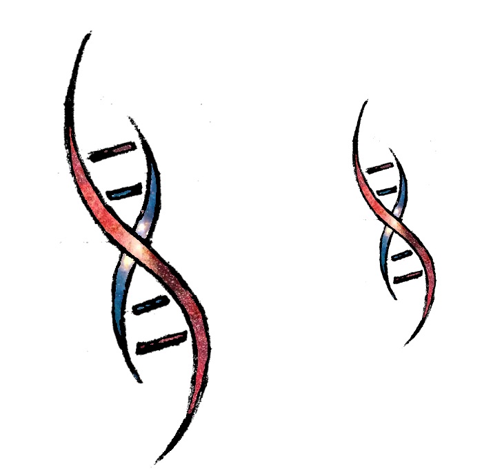 Detail Dna Infinity Tattoo Nomer 4