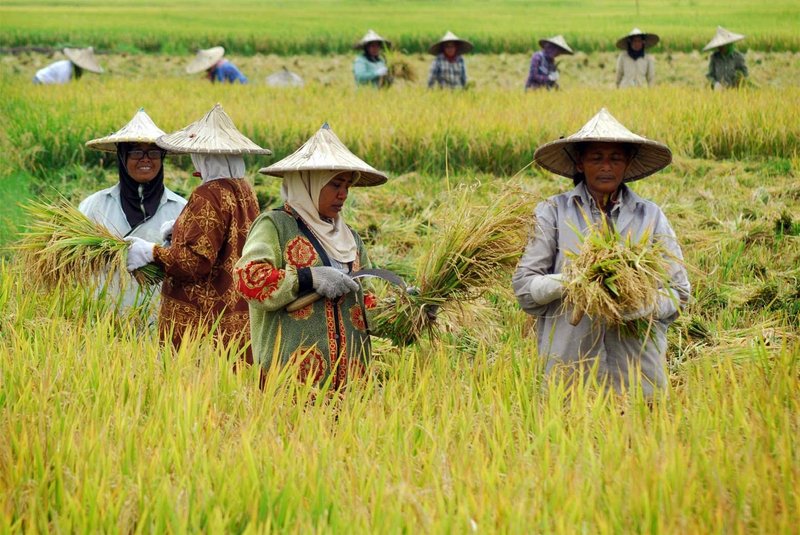 Detail Gambar Anak Gembala Dan Serigala Nomer 44