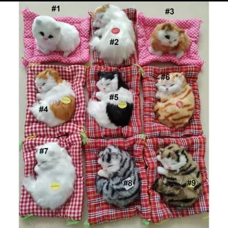 Detail Gambar Anak Kucing Lucu Nomer 29