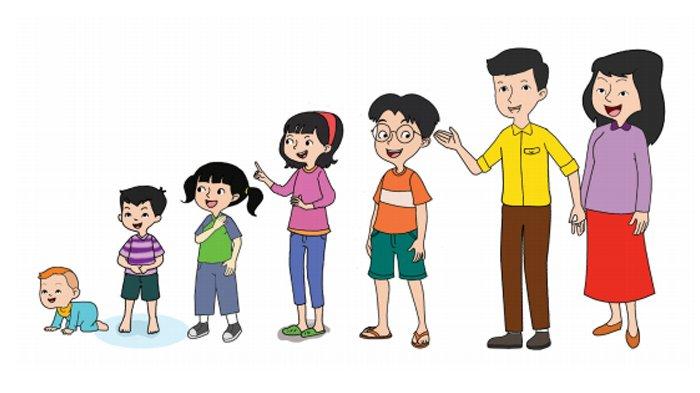 Gambar Anak Laki Pada Masa Pubertas - KibrisPDR