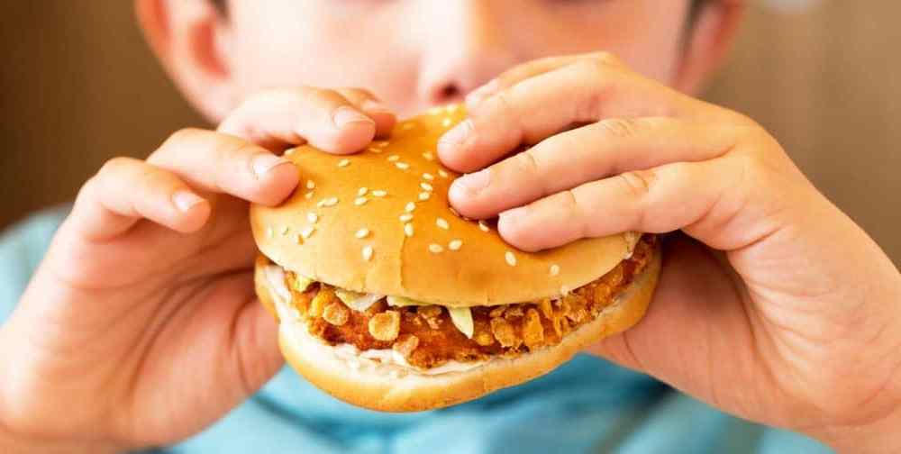 Detail Gambar Anak Makan Makanan Fast Food Nomer 27