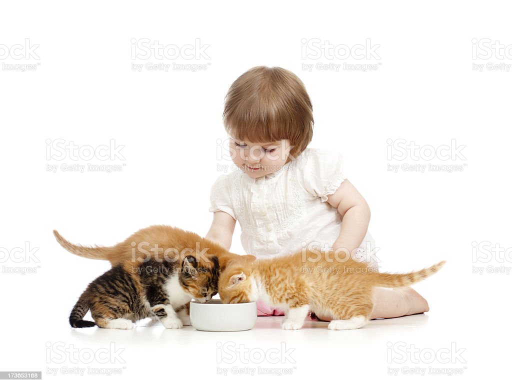 Detail Gambar Anak Memberi Makan Kucing Nomer 17