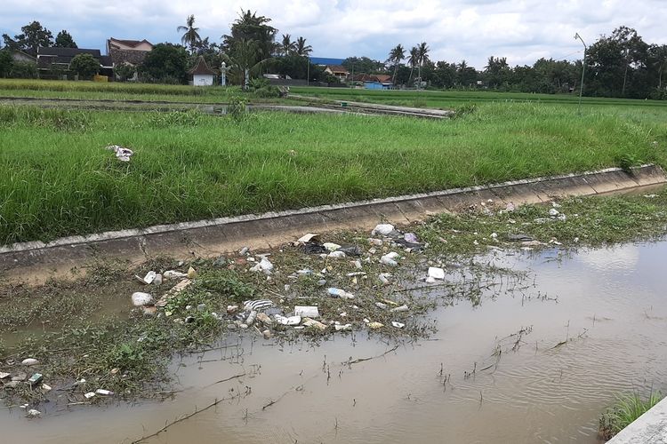 Detail Gambar Anak Membuang Sampah Di Selokan Nomer 39