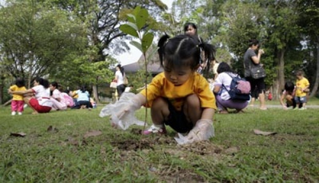 Detail Gambar Anak Menanam Pohon Nomer 27