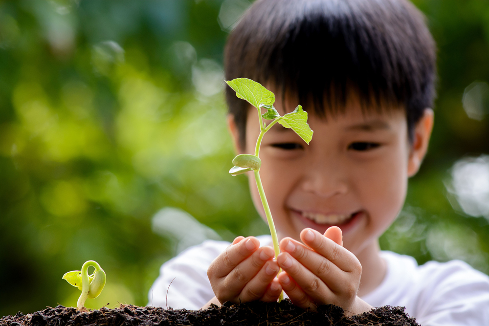 Detail Gambar Anak Menanam Pohon Nomer 30