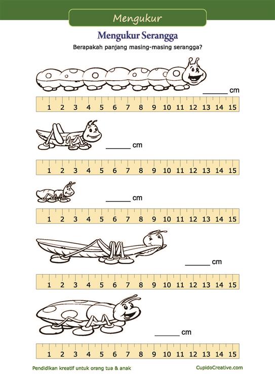Detail Gambar Anak Mengukur Panjang Dengan Lankah Nomer 3