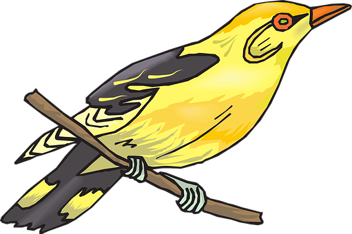 Detail Indischer Singvogel Nomer 6