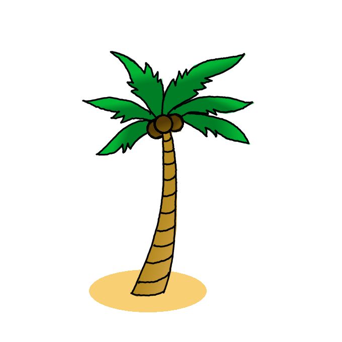 Detail Palm Tree Drawing Nomer 16