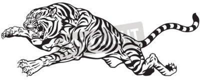Detail Tiger Tattoo Vorlage Nomer 22