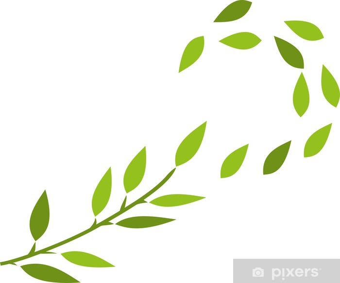 Detail Baum Poster Nomer 2