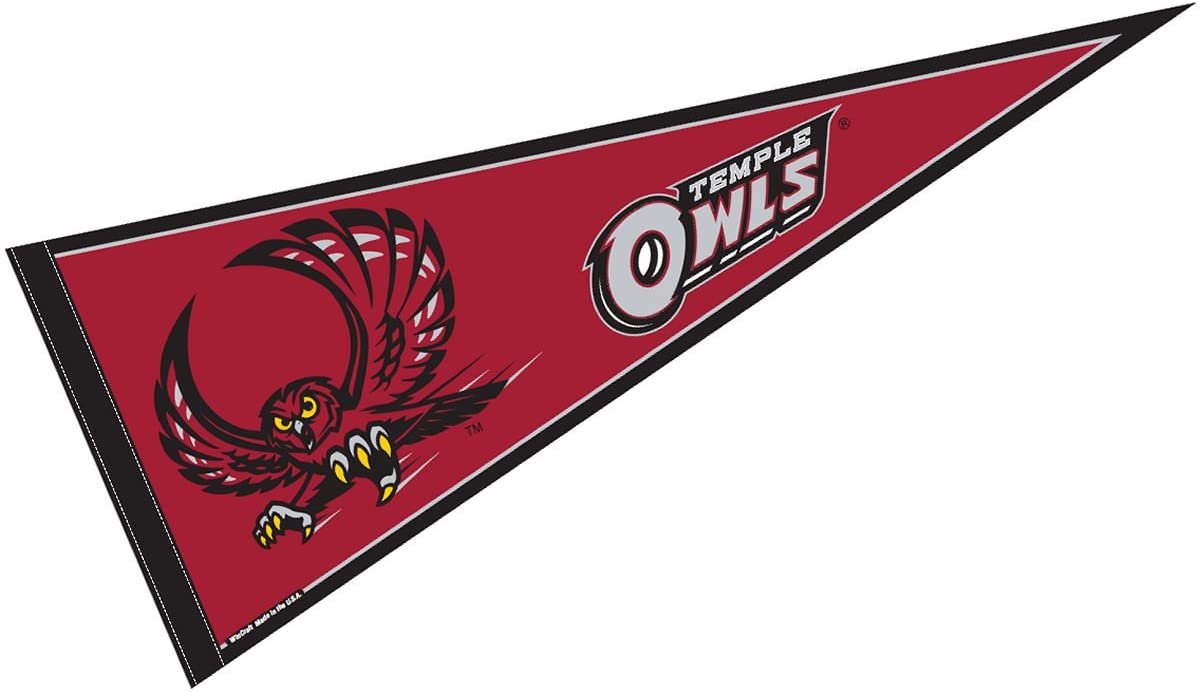 Detail Flagge Mit Tempel Nomer 24